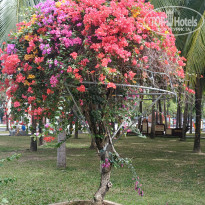 фото из отзыва ID 2717020