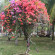 фото из отзыва ID 2717020