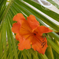 фото из отзыва ID 2717020