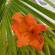 фото из отзыва ID 2717020