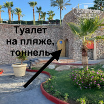 фото из отзыва ID 2717048