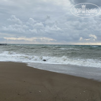 фото из отзыва ID 2717262