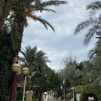 фото из отзыва ID 2717262