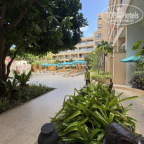 фото из отзыва ID 2717374