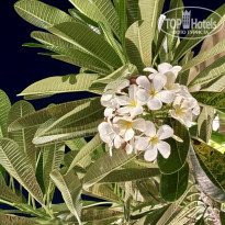 фото из отзыва ID 2717374