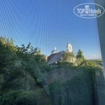 фото из отзыва ID 2717628