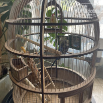 фото из отзыва ID 2717628