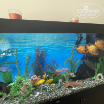 фото из отзыва ID 2717628