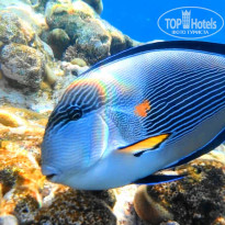 фото из отзыва ID 2717735