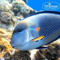 фото из отзыва ID 2717735