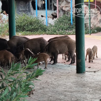 фото из отзыва ID 2717799