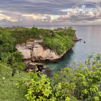 фото из отзыва ID 2717951