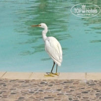 фото из отзыва ID 2717961