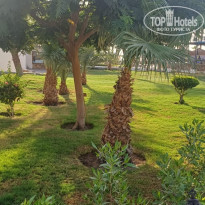 фото из отзыва ID 2717961