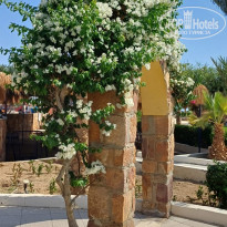 фото из отзыва ID 2717961