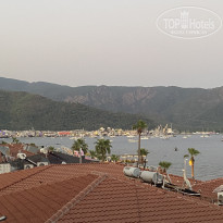 фото из отзыва ID 2717987