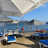 фото из отзыва ID 2717987