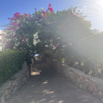 фото из отзыва ID 2717993