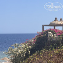 фото из отзыва ID 2717993