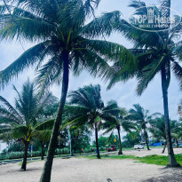 фото из отзыва ID 2718069