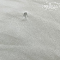 фото из отзыва ID 2718072