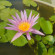 фото из отзыва ID 2718082
