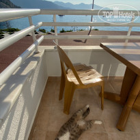 фото из отзыва ID 2718135