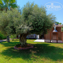 фото из отзыва ID 2718174