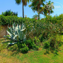 фото из отзыва ID 2718174