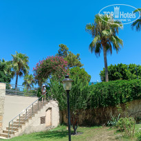 фото из отзыва ID 2718174