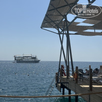 фото из отзыва ID 2718190