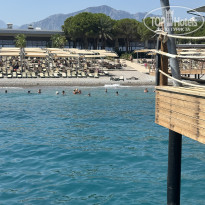 фото из отзыва ID 2718190