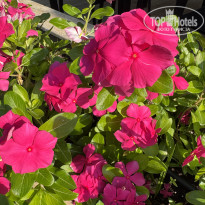 фото из отзыва ID 2718213