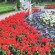 фото из отзыва ID 2718081