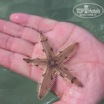 фото из отзыва ID 2718271