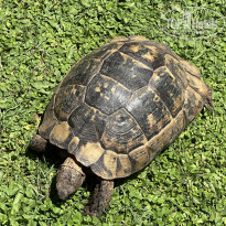 фото из отзыва ID 2718347