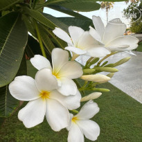 фото из отзыва ID 2718442