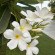 фото из отзыва ID 2718442