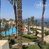 фото из отзыва ID 2718446