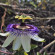 фото из отзыва ID 2718508