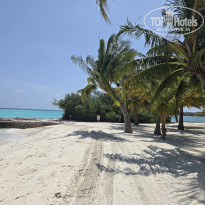 фото из отзыва ID 2718702