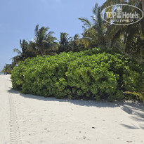 фото из отзыва ID 2718702