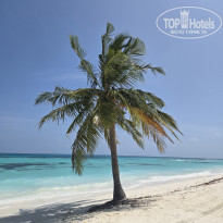 фото из отзыва ID 2718702