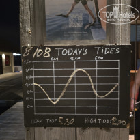 фото из отзыва ID 2718702