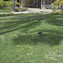 фото из отзыва ID 2718702