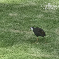 фото из отзыва ID 2718702