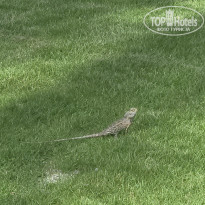 фото из отзыва ID 2718702