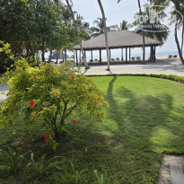 фото из отзыва ID 2718702