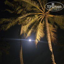 фото из отзыва ID 2718702