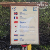 фото из отзыва ID 2718702